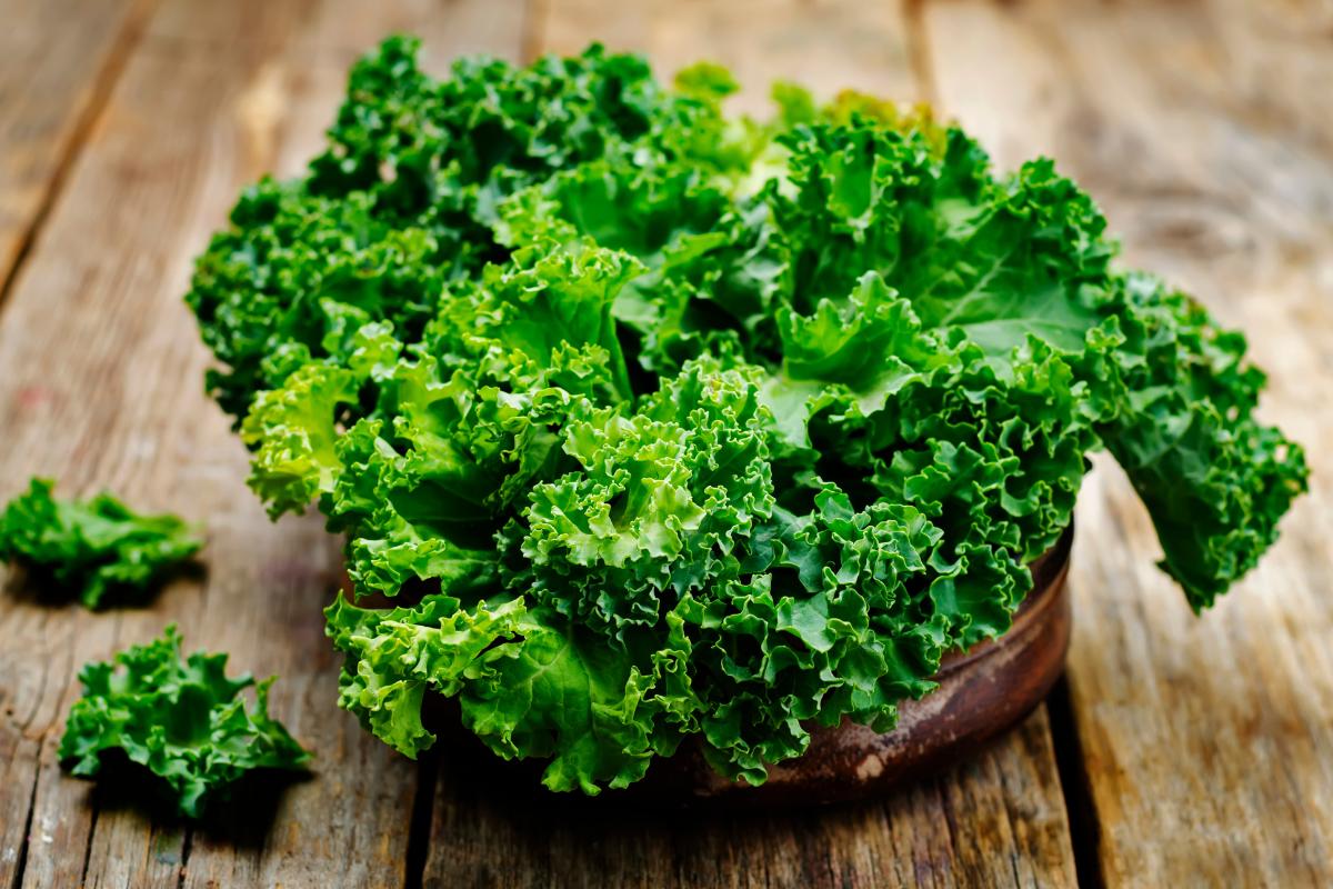 Kale: el vegetal verde que fortalece el cerebro, protege los huesos y ayuda a la producción de colágeno