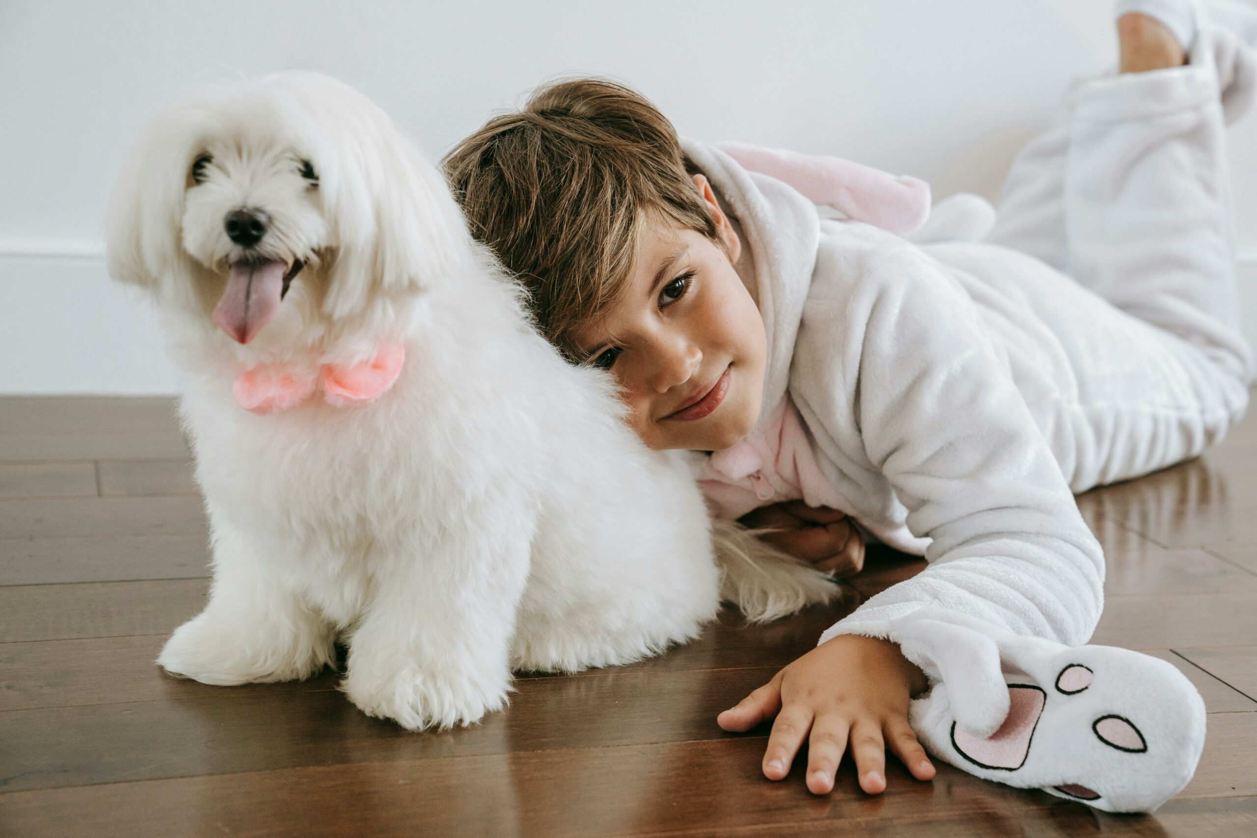 Cinco productos esenciales para un hogar con mascotas