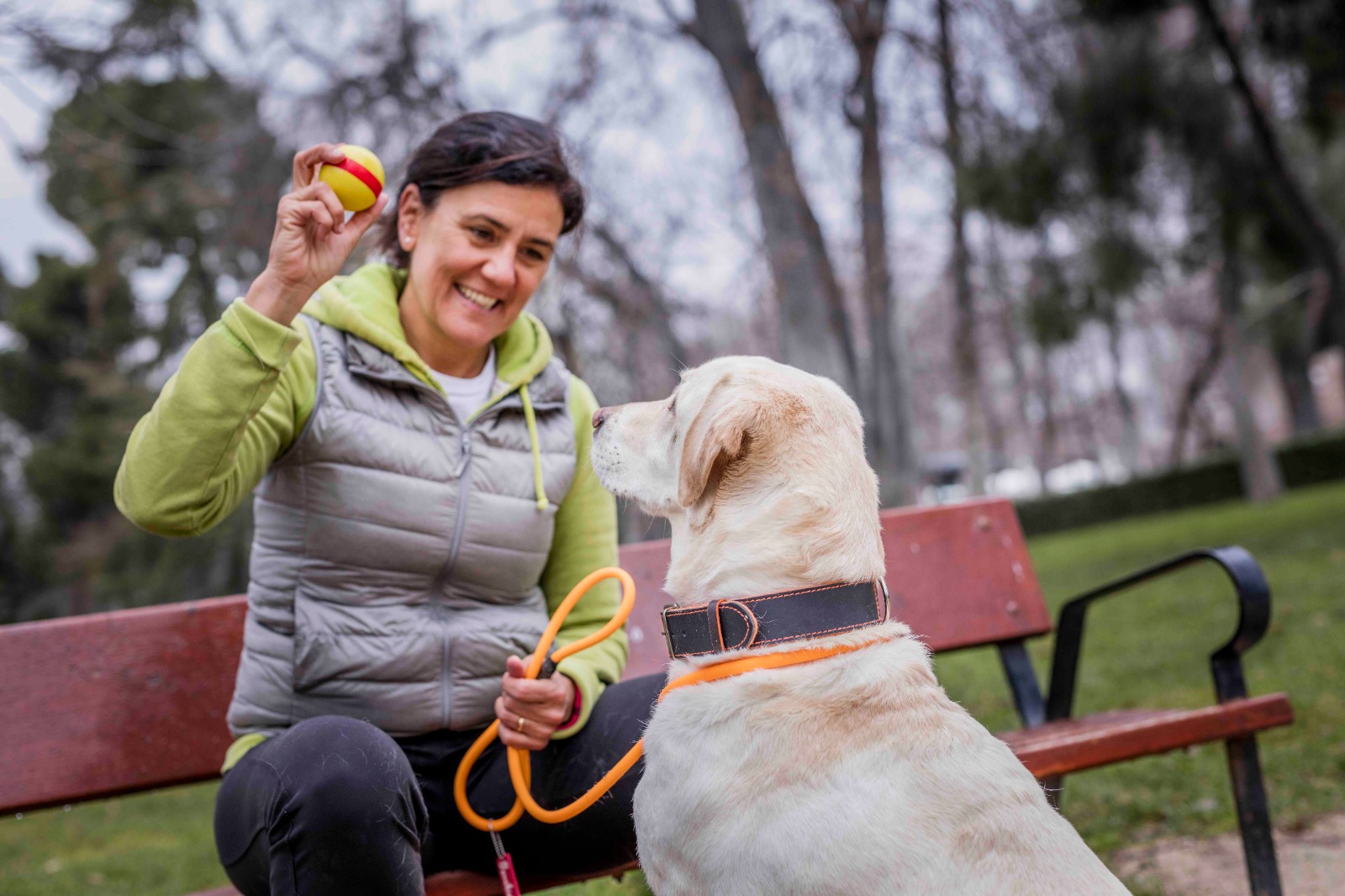 El papel de los perros de asistencia en la vida de las personas con discapacidad