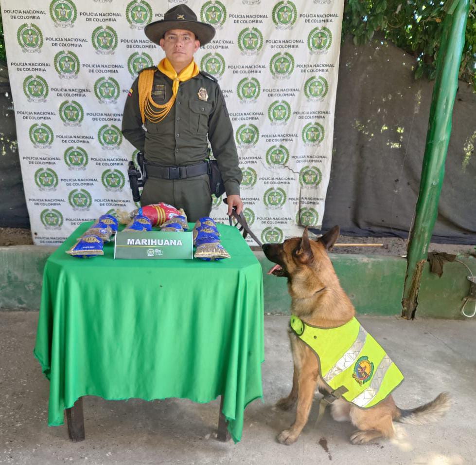 Incautados más de 1.400 gramos de marihuana en controles viales en el Atlántico