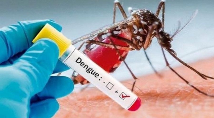 Brasil lanza vacuna de dosis única contra el dengue y proyecta producción masiva