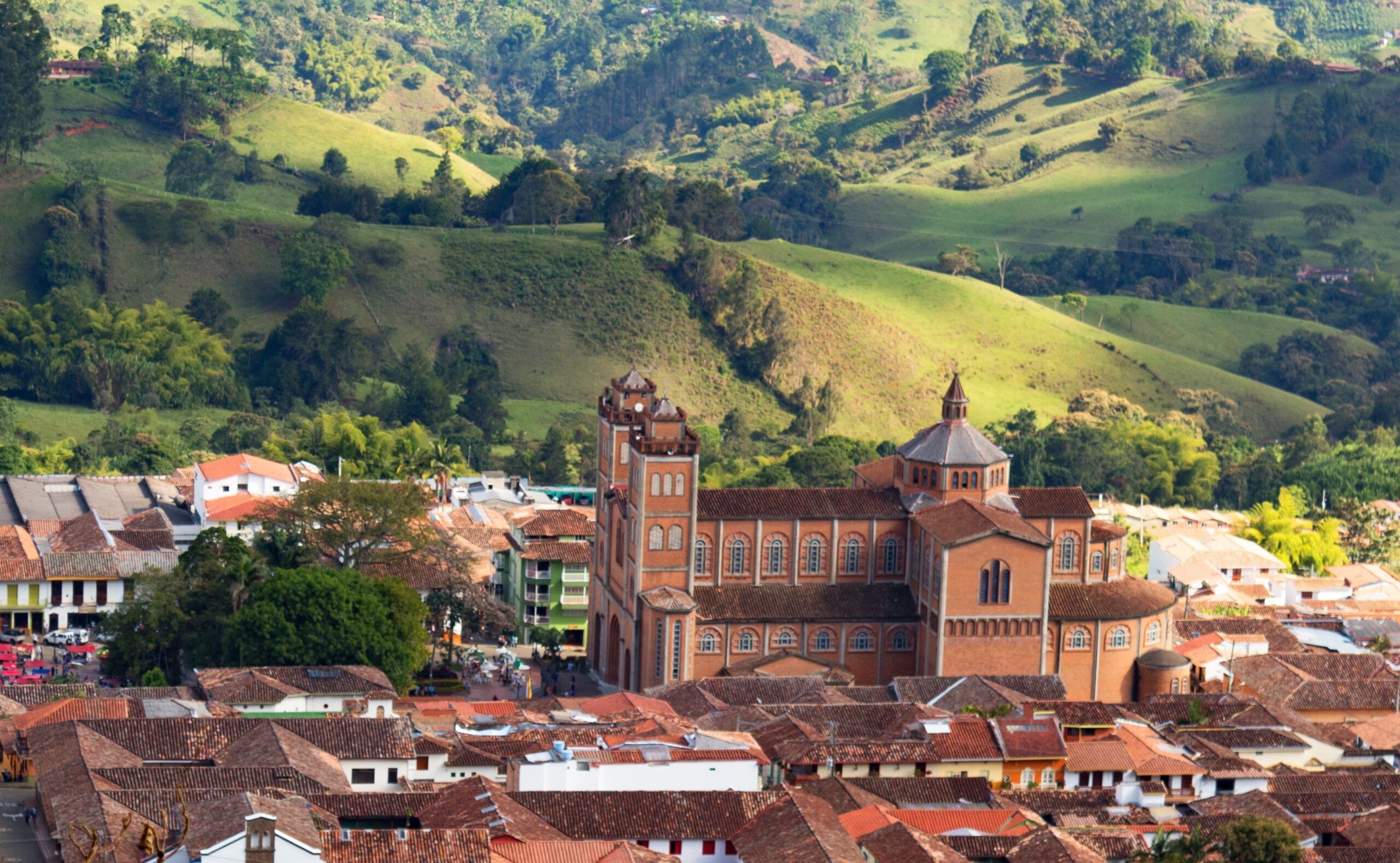 Alerta en Antioquia: Mujer fallece por rabia tras contacto con fauna silvestre en Jericó