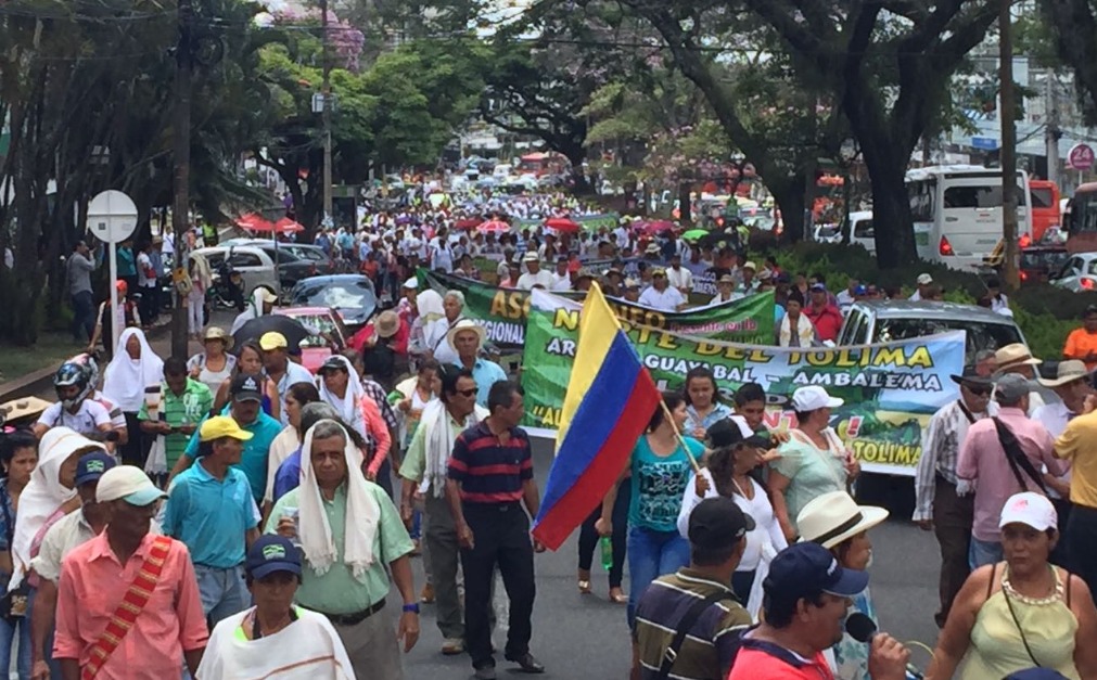 Urge Solución Inmediata a la Crisis Arrocera en Colombia