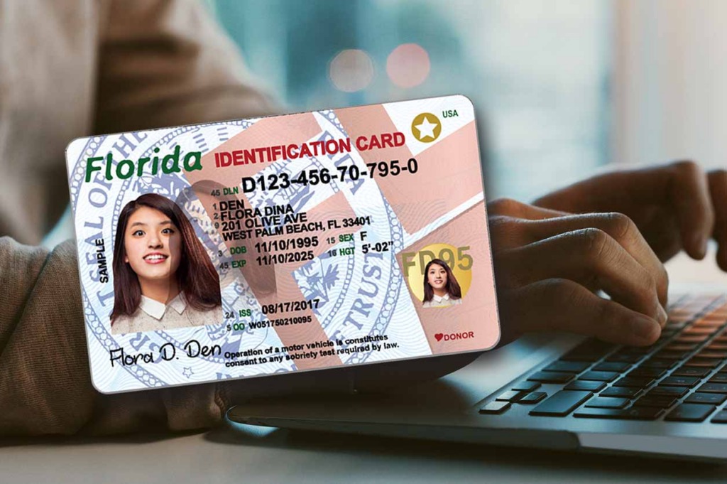 Real ID y Licencia Mejorada todo lo que debes saber antes de viajar o identificarte en Estados Unidos
