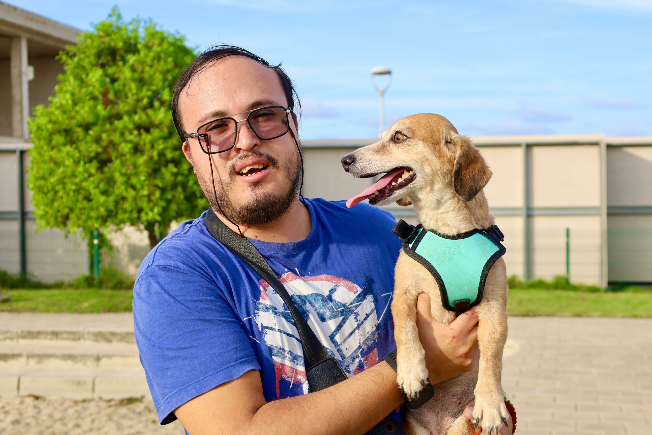 Barranquilla impulsa la iniciativa Si pudiera hablar te diría gracias para proteger a los animales en condición de vulnerabilidad