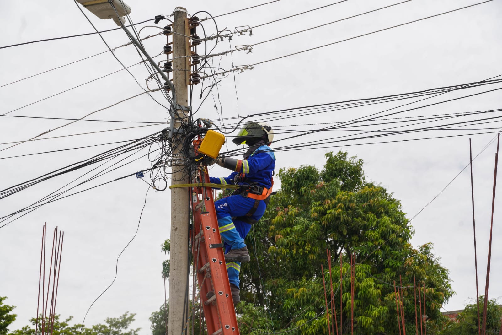 Operativos de poda y mantenimiento eléctrico generarán suspensiones de energía este martes en Galapa, Soledad y Barranquilla