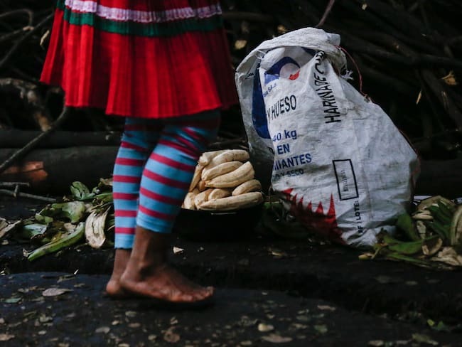 Alcaldía de Bogotá lanza alerta por nuevo intento de asentamiento de familias Emberá en el Parque Nacional