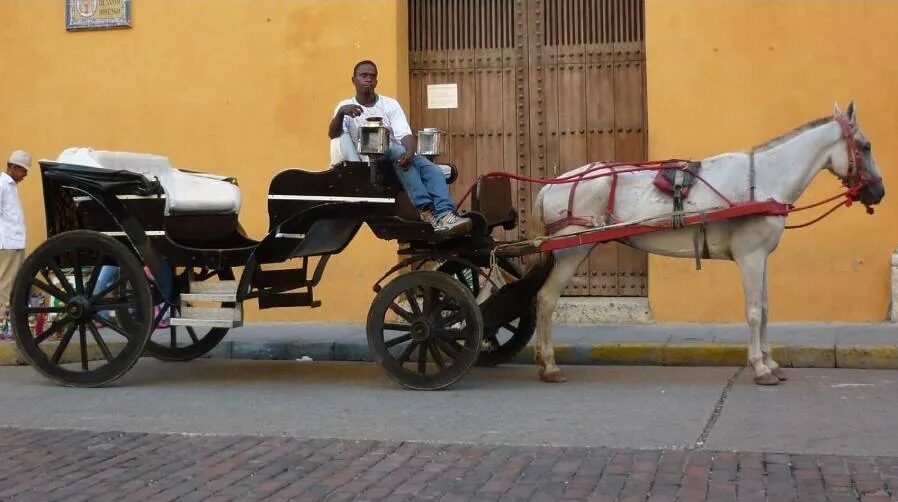 Polémica en Cartagena por propuesta económica de cocheros ante eliminación de coches de caballos