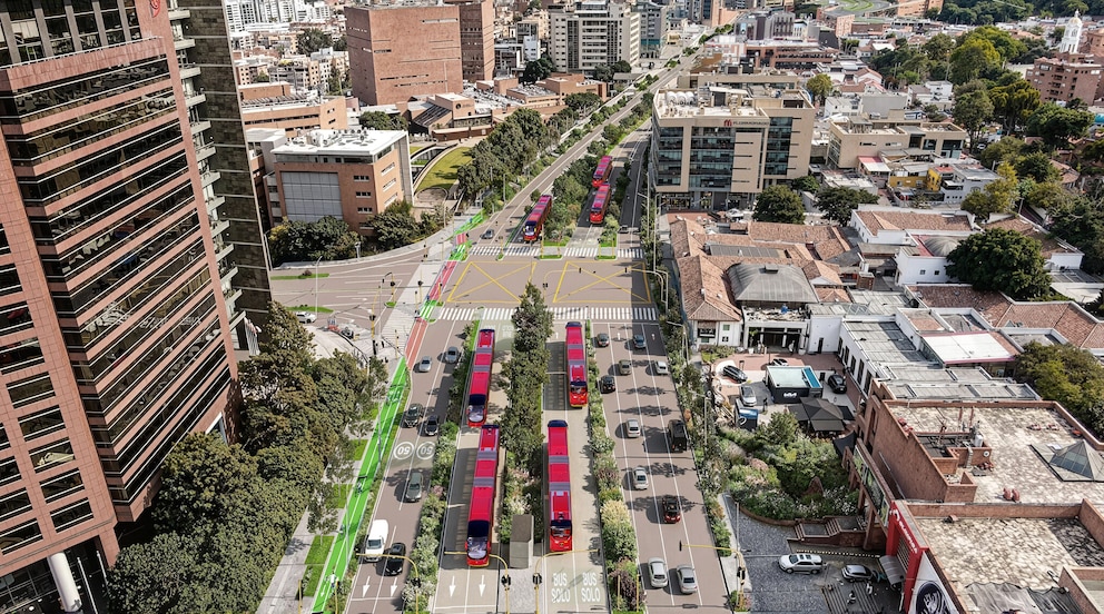 Obras en la carrera Séptima reavivan debate ambiental por tala de árboles y su recuperación en Bogotá