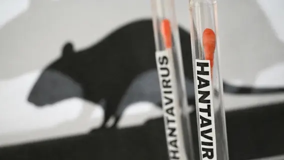 Francia y España vigilan un caso de hantavirus Andes detectado en un turista